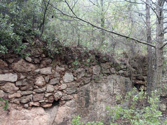 MEDIONA, torre-burot del castell de -s. XVIII-XIX- a la riera de Mediona, antic camí a Llacuna. Acompanyat per Xavier Argemí (SANT QUINTÍ DE MEDIONA) 05-02-2026