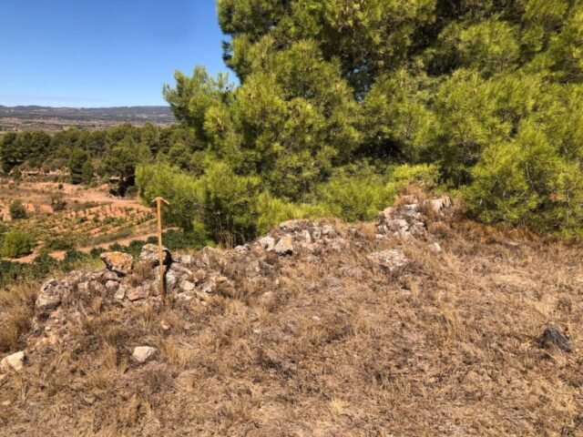 ANGUERA, castell d' -s.XI primer esment- al Puig d'Anguera,, sobre mateix de Sant Pere d'Anguera. Minses restes al costat d'uns bancs que han instal·lat de mirador (SARRAL) 13-09-2026