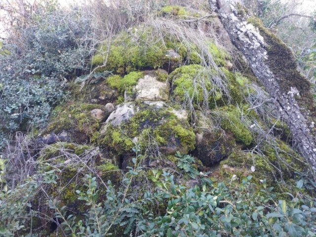 COSTA DEL BOIX, fortificació de la -medieval sense dades- torre planta rectangular. Tram de muralla ben visible a la paret nord i una cantonera a l’est (OLIOLA) 28-11-2025