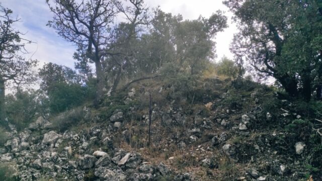 MONTLLEÓ, castell i vilatge de -s.XII primer esment- un munt de pedres és el que en queda. Un vèrtix geodèsic culmina el lloc on havia estat el castell (ÀGER) 24-11-2025