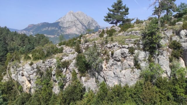 PALOMERA, poblat medieval de -sense dades- (SALDES) 26-08-2025