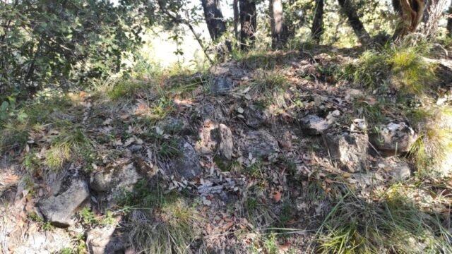 SAGÀS, torre de -s.XIII- al turó a tocar de Santa Margarida de Sagàs encara s’hi veu l’espai rectangular que ocupava la torre i fileres senzilles de pedra (SAGÀS) 04-11-2025