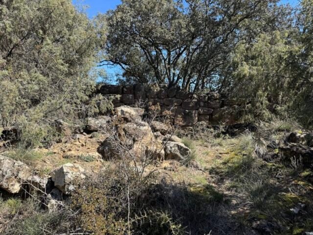 CLAVELLS, vilatge de -medieval sense dades- no s'hi veuen elements de fortificació en les poques restes que hi queda. Rectangular i de petites dimensions a tocar de la carretera de Torà a Solsona, km 10'6, a la dreta. Fotografia de Ramon Vilaseca (TORÀ) 30-03-2025