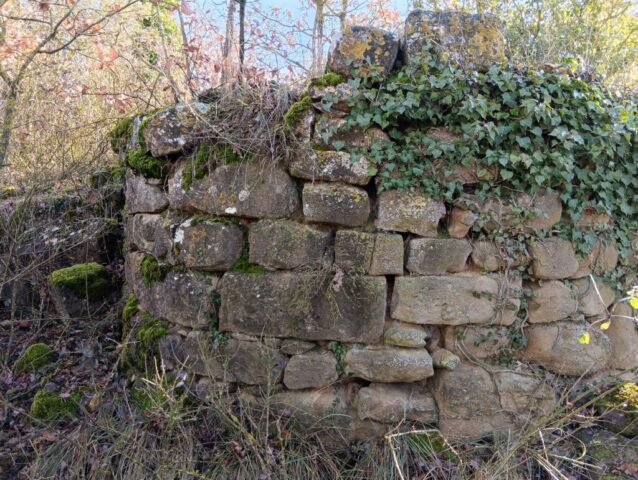 MANGS o Mancs, vilatge de -medieval sense dades- a prop de la Vilella. Interessant tot el poblat en especial una paret arrodonida en un dels seus angles que podria ser una torre o també un forn. Acompanyat de Ramon Vilaseca (TORÀ) 31-01-2026